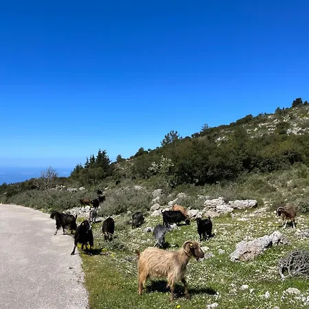 Poros Blue Mikros Gialos